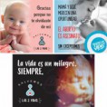 Afiches